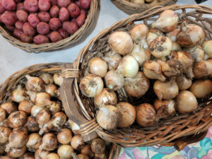 Root Vegetables Like Onions and Potatoes Are Grown at Boggy Creek Farm