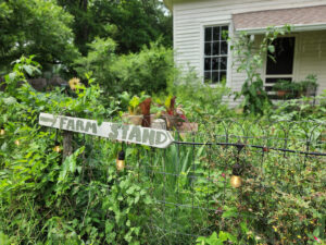 Boggy Creek Farm Offers Mix Of History And Locally Grown Food You Won't Find Anywhere Else In Austin