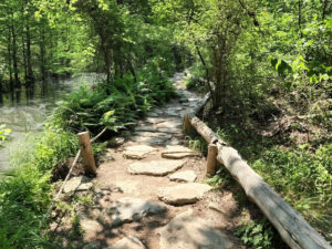 The Trail to Hamilton Pool Is Uneven and Not Wheelchair Accessible