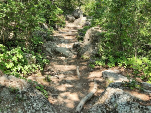 The Trail to Hamilton Pool Is Steep and Narrow in Many Places
