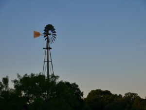 Vintage Windmill at the Wildflower Center
