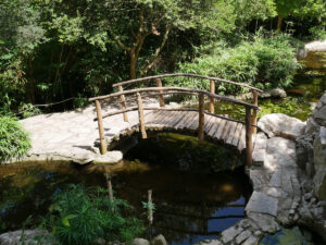 The Japanese Garden at Zilker Gardens Was Built by Isamu Taniguchi When He Was 70 Years Old