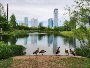 Lots Of Answers To What To Do In Austin Are Close To Downtown